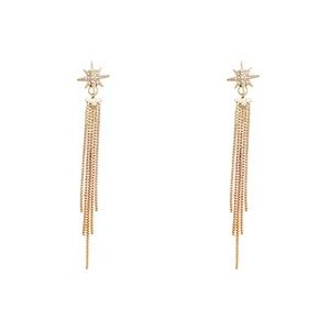 Long Tassel Earrings